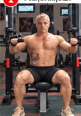 Chest Press / împins la aparat — miniatură reprezentativă